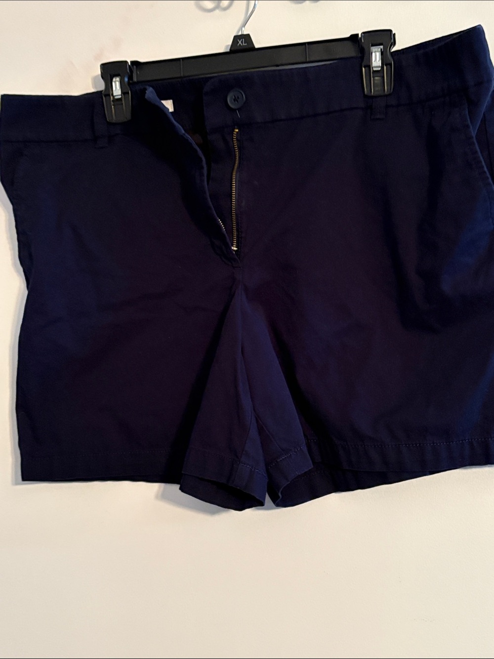 LOFT Navy Blue Women's Shorts